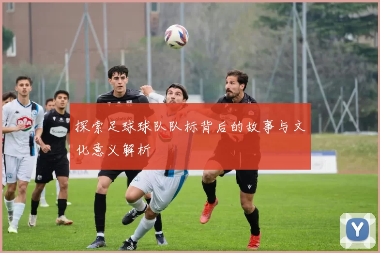 探索足球球队队标背后的故事与文化意义解析